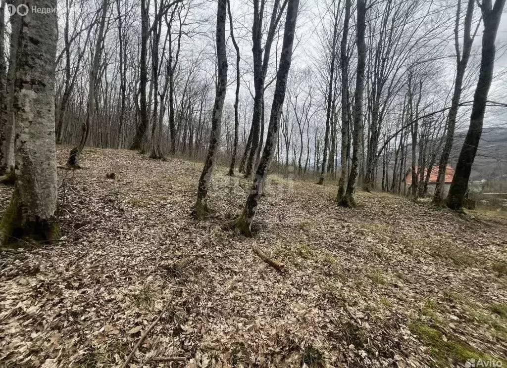 Участок в село Кирпичное, улица Чумакова (10 м) - Фото 1