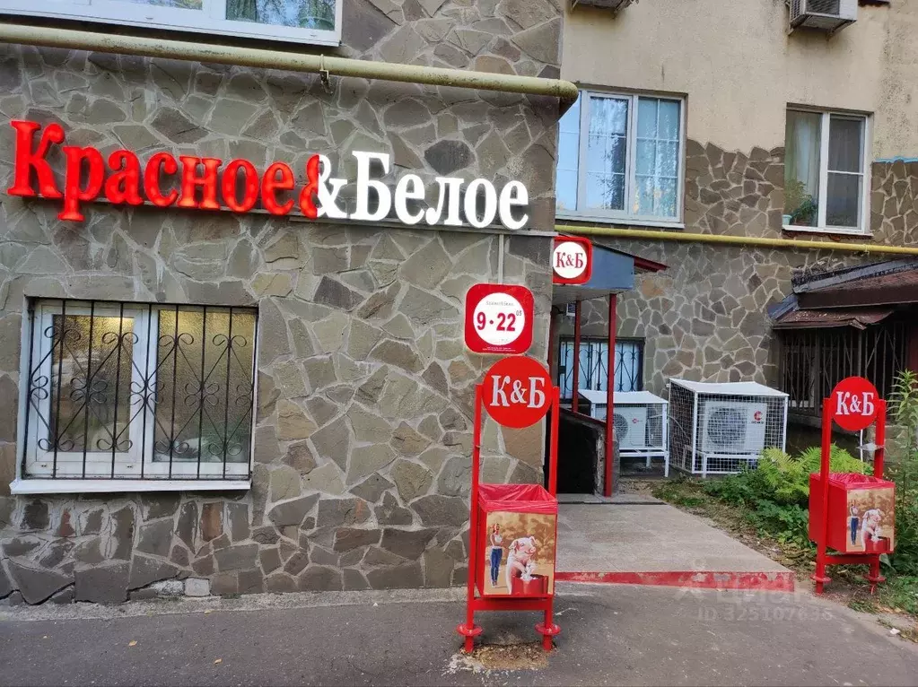 Торговая площадь в Московская область, Раменский муниципальный округ, ... - Фото 2