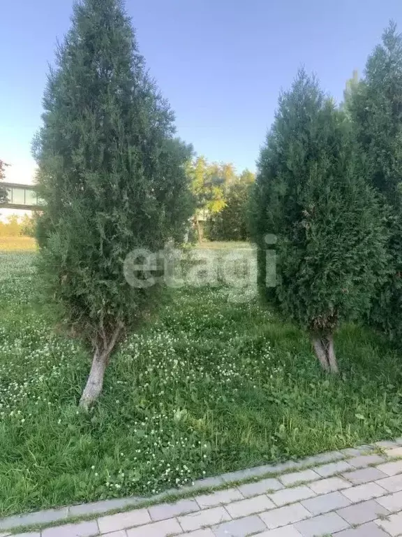 Участок в Тамбовская область, Рассказовский муниципальный округ, с. ... - Фото 2