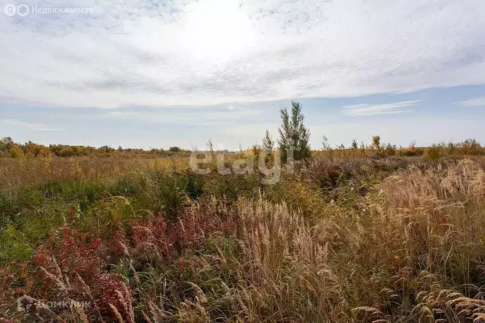 Участок в Кстининское сельское поселение, деревня Кобели, Ольховая ... - Фото 2