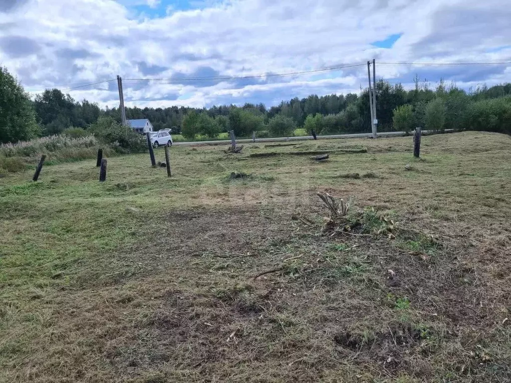 Участок в Ленинградская область, Выборгский район, Красносельское ... - Фото 1