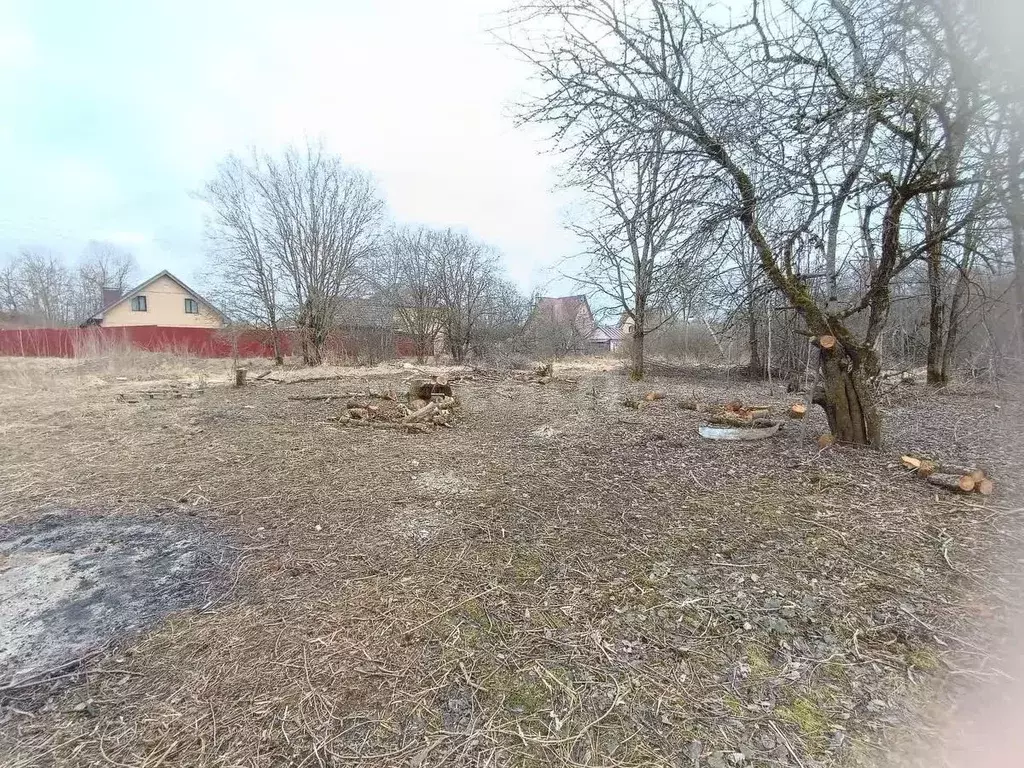 Участок в Смоленская область, Смоленский муниципальный округ, д. ... - Фото 1