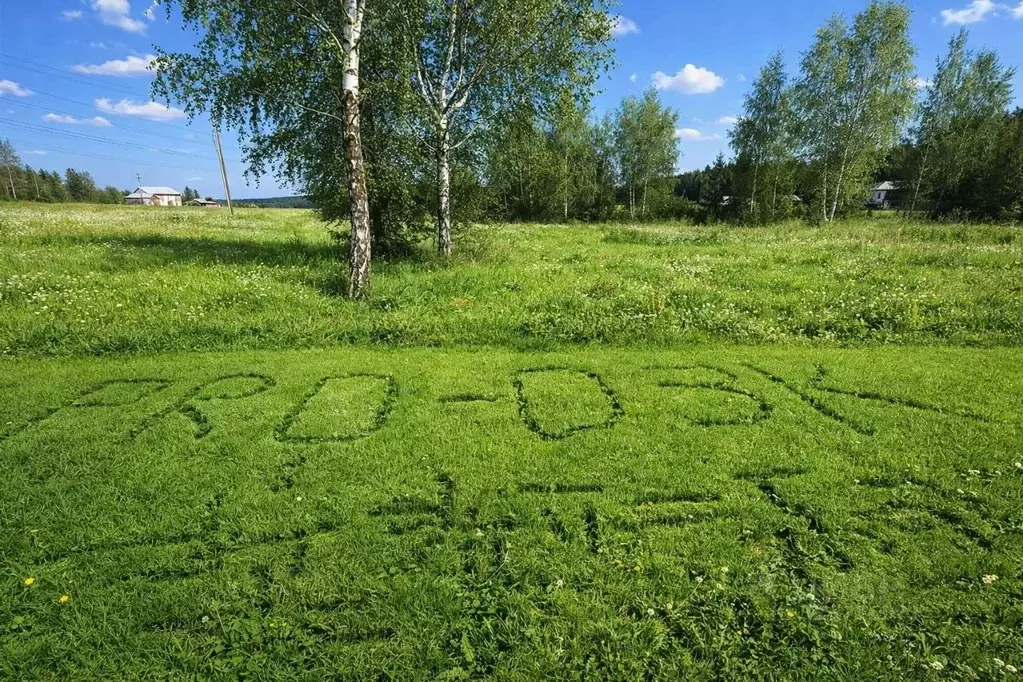 Участок в Московская область, Солнечногорск городской округ, д. Покров ... - Фото 1