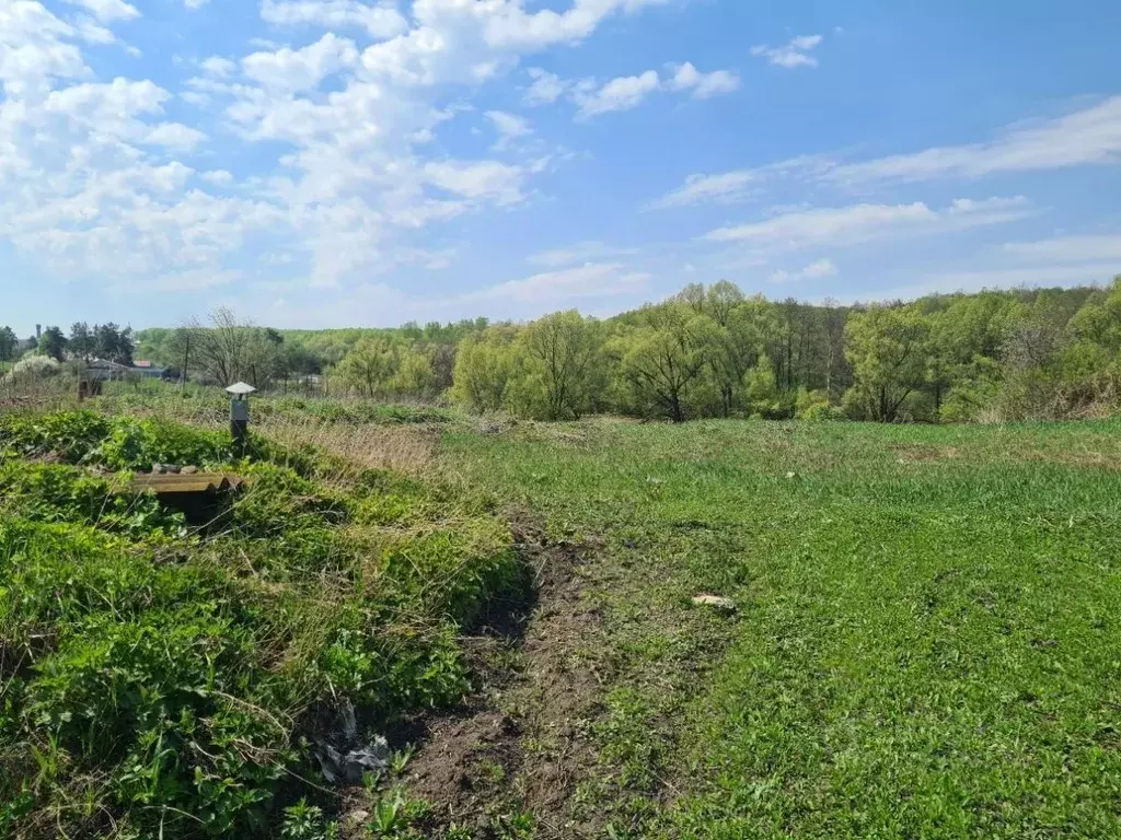 Участок в Самарская область, Красноярский район, Большая Каменка ... - Фото 1