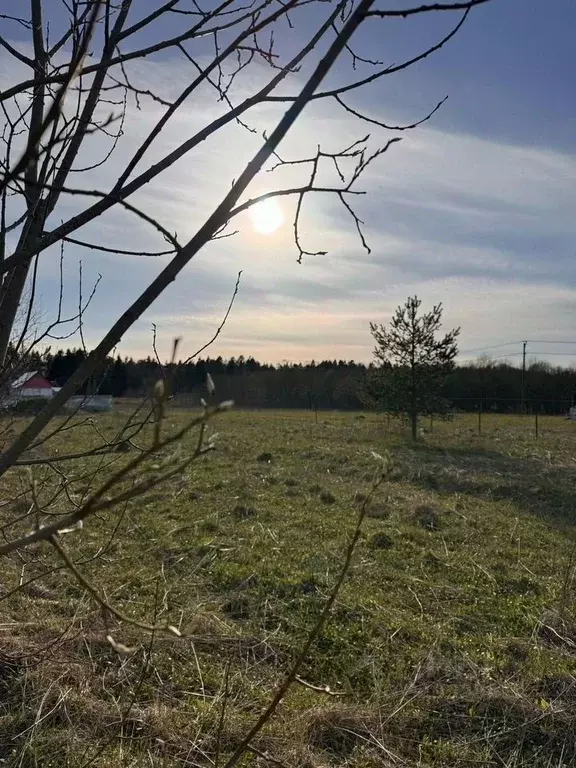 Участок в Ленинградская область, Волосовский район, Клопицкое с/пос, ... - Фото 1