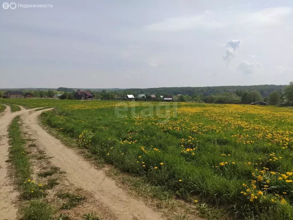 Участок в Вологодский муниципальный округ, деревня Пестово (10.4 м) - Фото 2