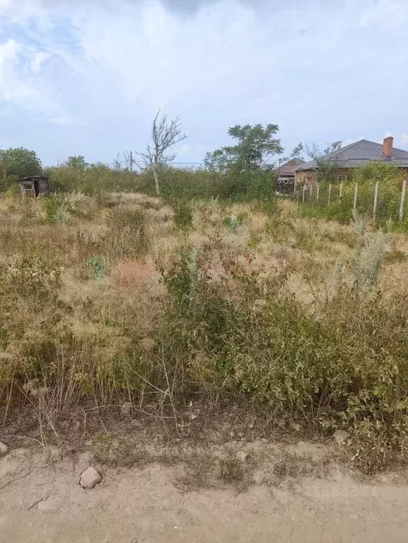 Участок в Ростовская область, Новочеркасск ул. Ольховая, 104 (6.0 ... - Фото 1