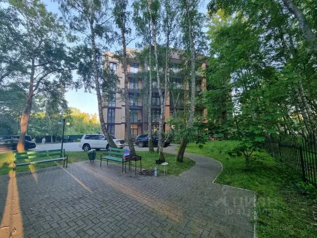 1-к кв. Калининградская область, Светлогорск ул. Верещагина, 12 (29.0 ... - Фото 1