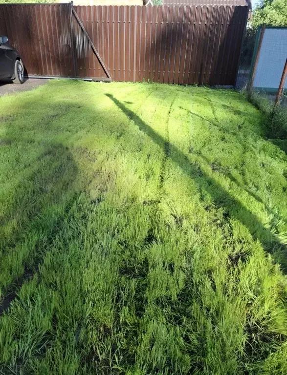 Дом в Ленинградская область, Всеволожский район, Сертоловское ... - Фото 2