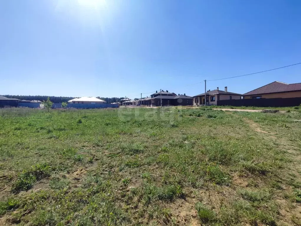 Участок в Калужская область, Калуга д. Черносвитино,  (6.0 сот.) - Фото 1