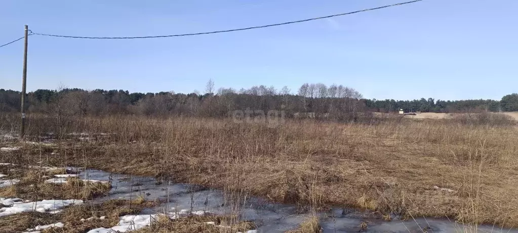 Участок в Ленинградская область, Волховский район, Сясьстройское ... - Фото 1