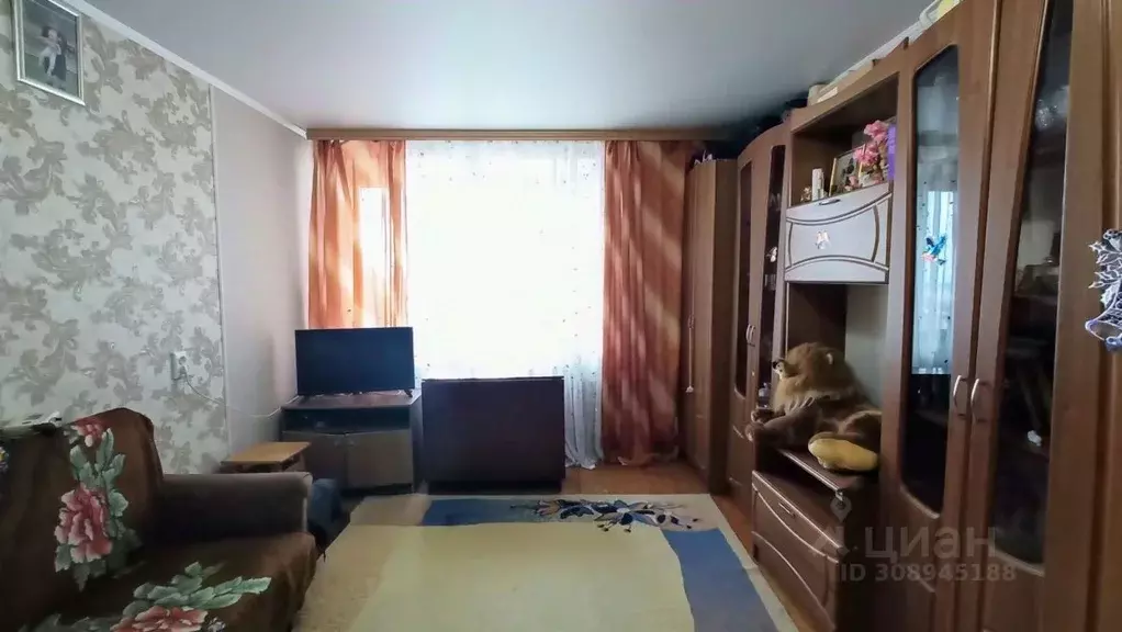 1-к кв. Курская область, Курск ул. Чернышевского, 17 (25.5 м) - Фото 0