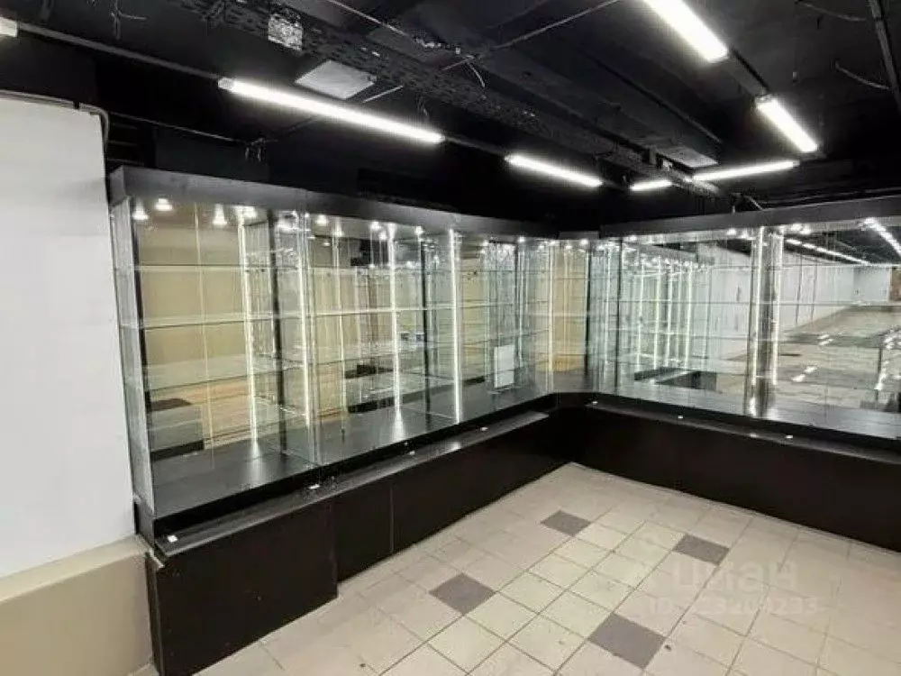 Торговая площадь в Московская область, Балашиха ул. Флерова, 2/3 (570 ... - Фото 2