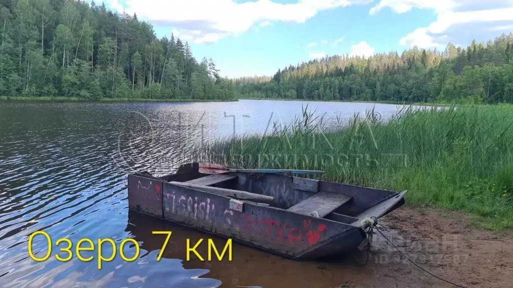 Участок в Ленинградская область, Выборгский район, Первомайское с/пос, ... - Фото 2