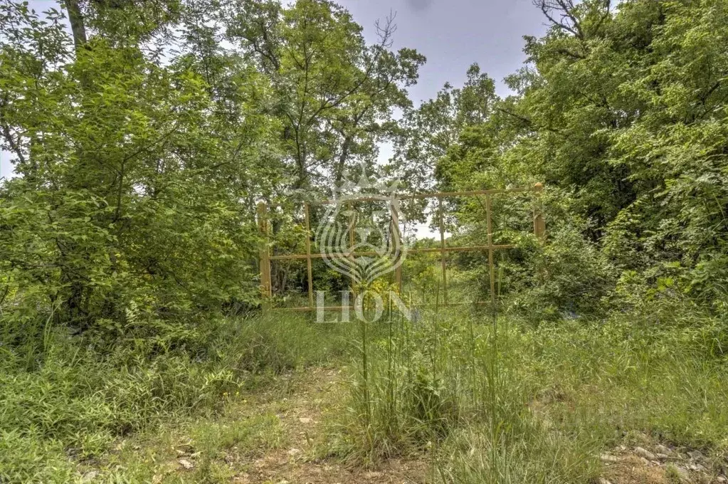 Участок в Крым, Алушта муниципальный округ, с. Малый Маяк ул. Горная ... - Фото 2