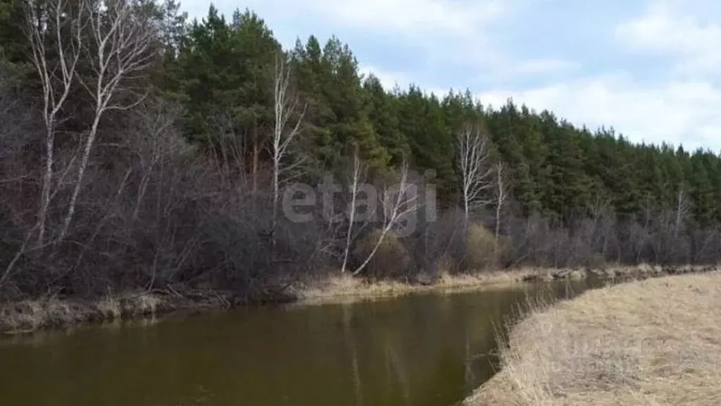 Участок в Свердловская область, Горноуральский муниципальный округ, д. ... - Фото 1