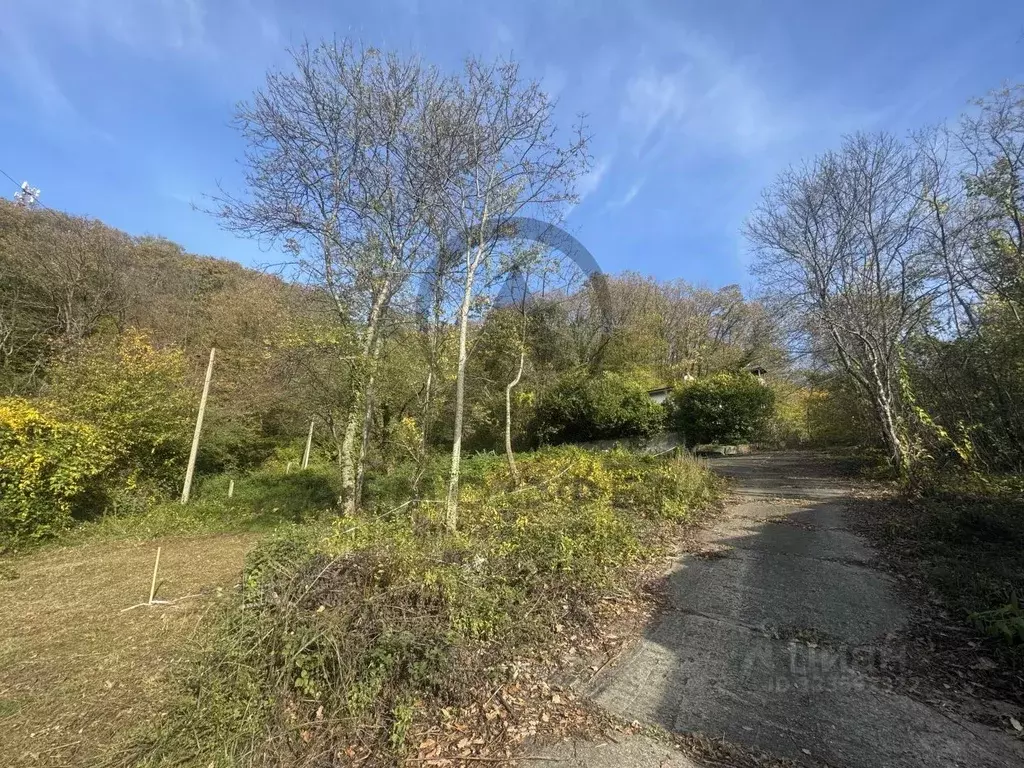 Участок в Краснодарский край, Туапсинский муниципальный округ, с. Агой ... - Фото 1