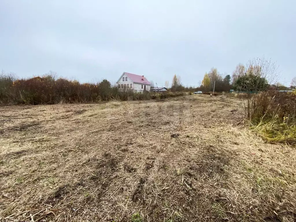 Участок в Ярославская область, Рыбинский муниципальный округ, с. Спасс ... - Фото 1