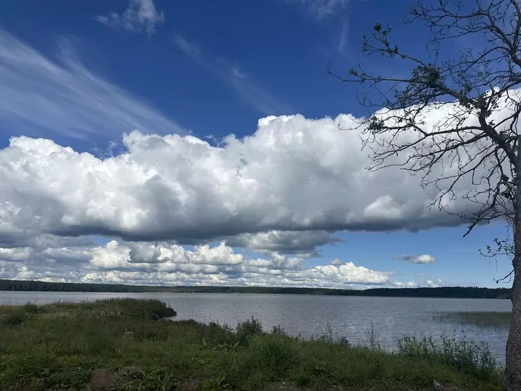 Дом в Ленинградская область, Всеволожский район, Куйвозовское с/пос, ... - Фото 2