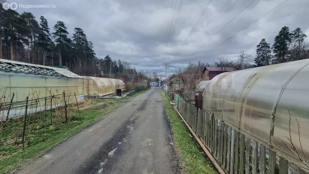 Участок в Екатеринбург, Коммунистическая улица, 38 (6.77 м) - Фото 1