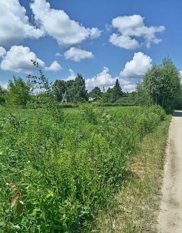 Участок в Московская область, Павлово-Посадский городской округ, д. ... - Фото 2