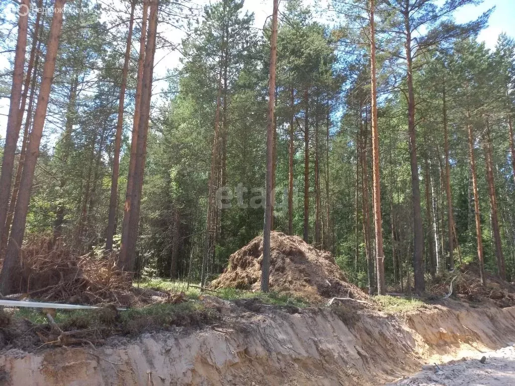 участок в ленинградская область, всеволожское городское поселение, . - Фото 1