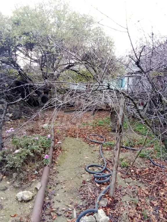 Участок в Севастополь Сапун-гора СНТ, 1112 (5.5 сот.) - Фото 0