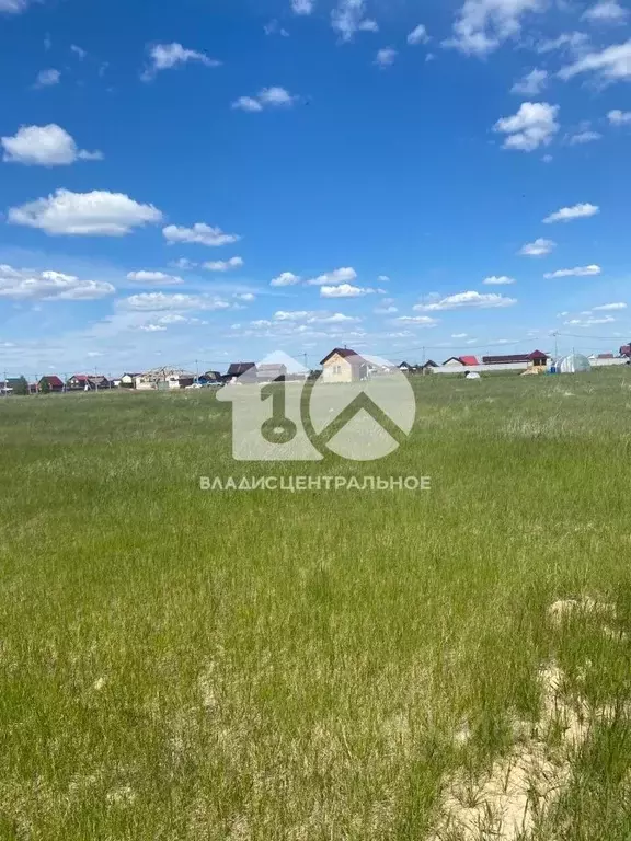 Участок в Новосибирская область, Новосибирский район, Толмачевский ... - Фото 0