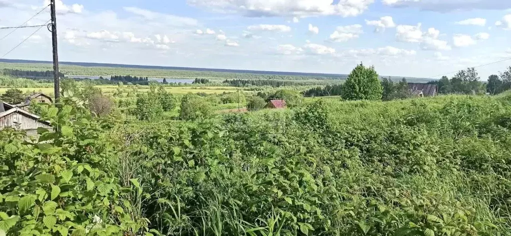 Участок в Коми, Сыктывдинский район, Зеленец муниципальное ... - Фото 0