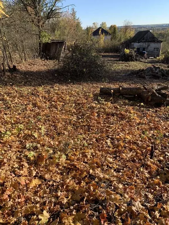 Участок в Пензенская область, Пенза Имени Мичурина завода ВЭМ СДТ, 458 ... - Фото 2