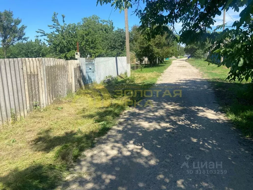 Участок в Краснодарский край, Темрюкский район, Краснострельское ... - Фото 1