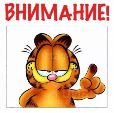 Комната Московская область, Балашиха Гагарина мкр, 4 (50.0 м) - Фото 1