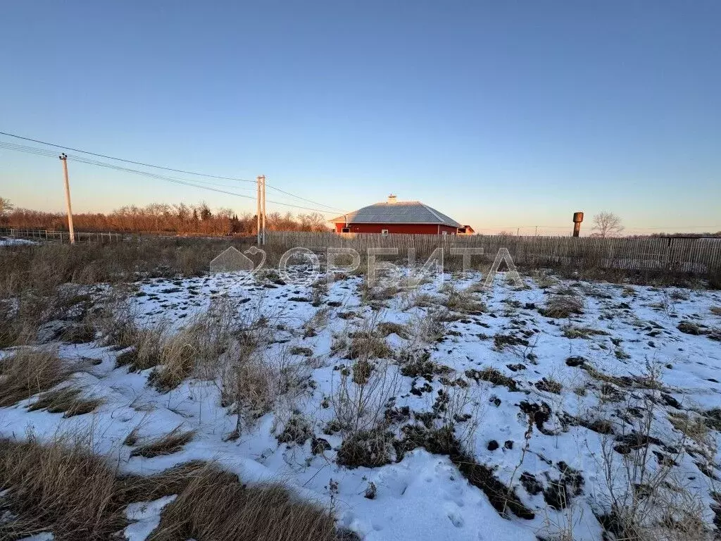 Участок в Тюменская область, Тюменский район, с. Луговое Плодовая ул. ... - Фото 1