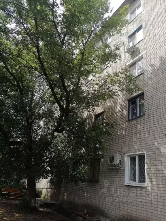 4-к кв. Воронежская область, Лиски ул. 40 лет Октября, 71 (62.0 м) - Фото 1