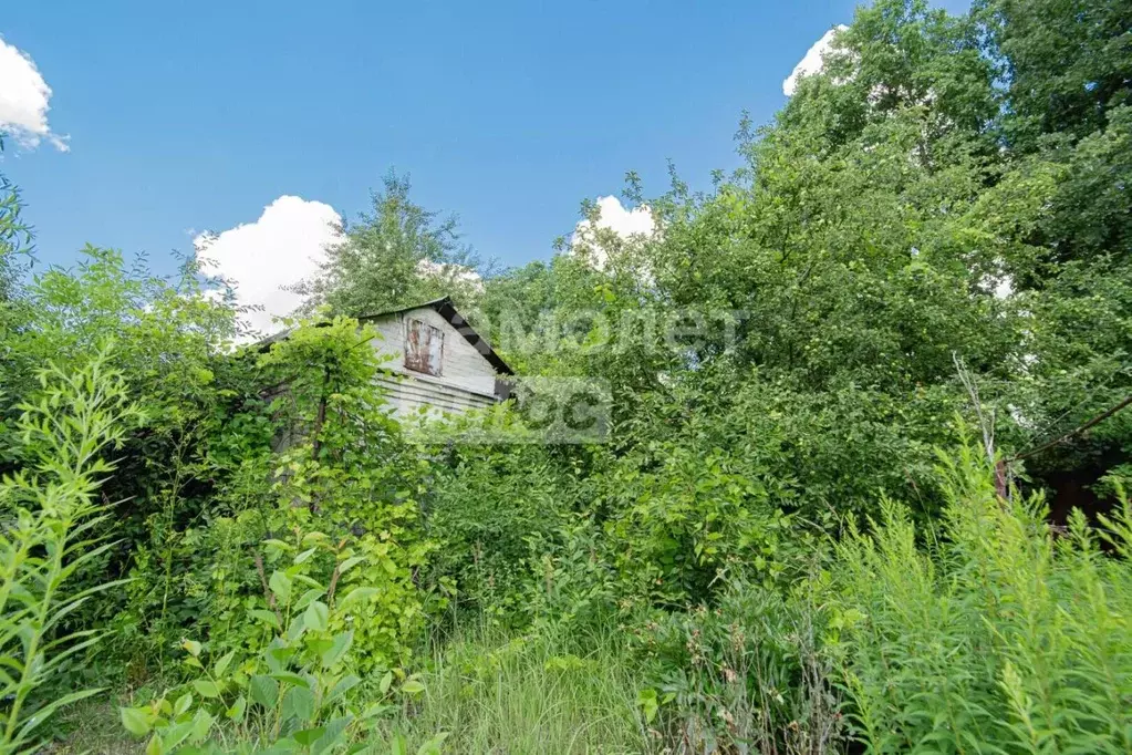 Дом в Липецкая область, Липецк Мечта СНП, 1048 (18 м) - Фото 1