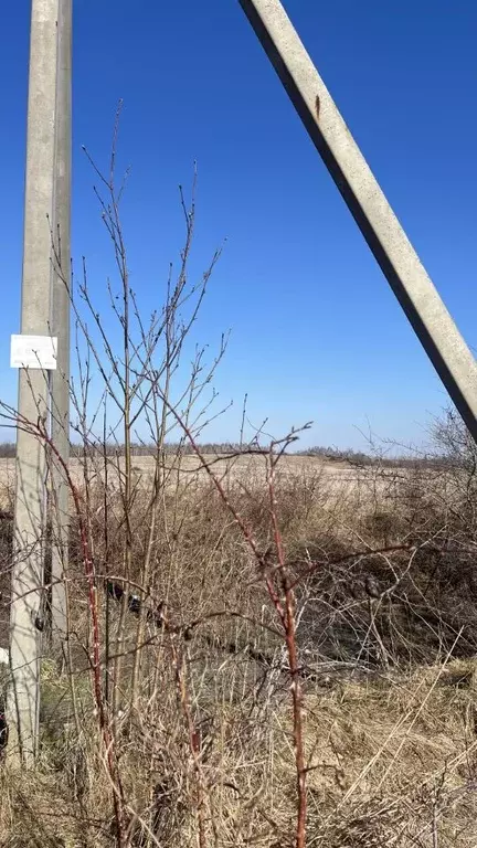 Участок в Калининградская область, Гурьевский муниципальный округ, ... - Фото 1