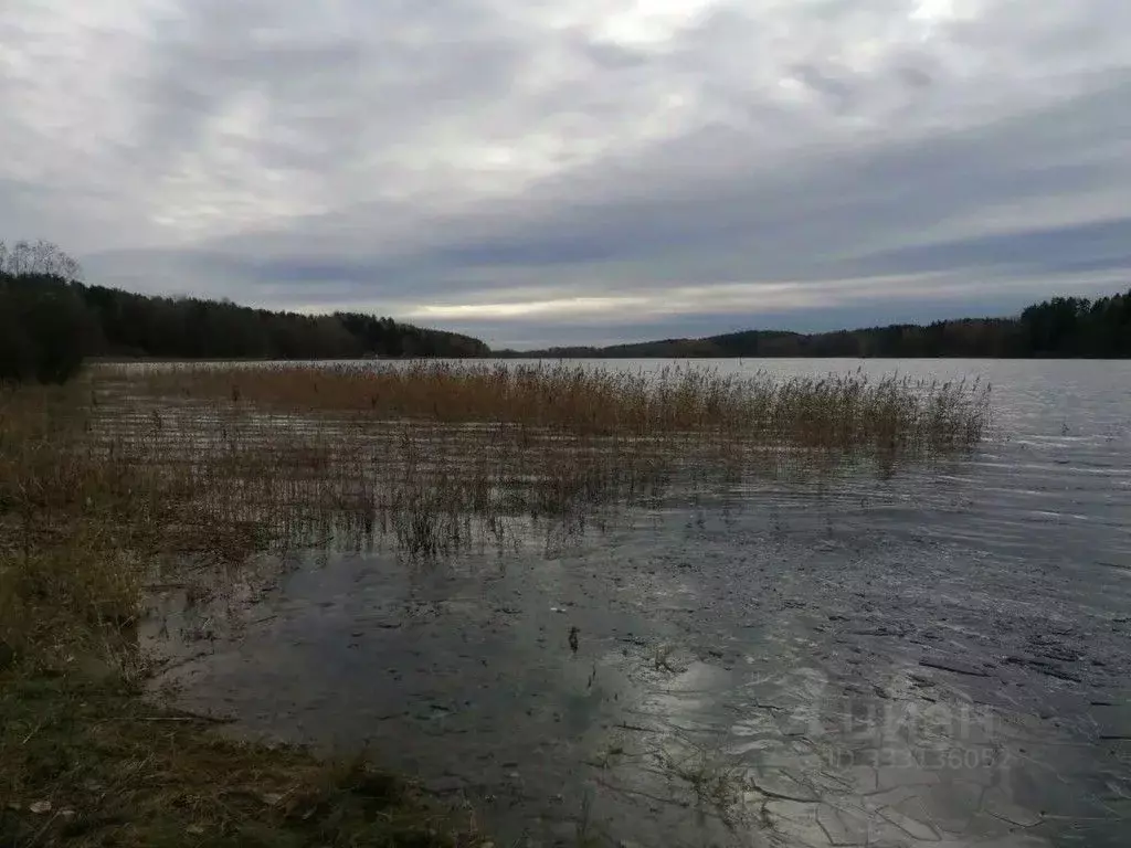Участок в Ленинградская область, Выборгский район, Каменногорское ... - Фото 2