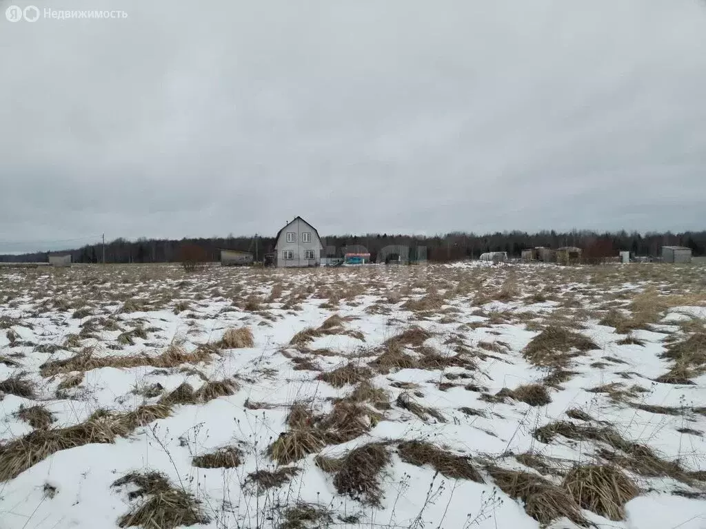 Участок в деревня Берёзовик, Дачная улица (21.93 м) - Фото 2