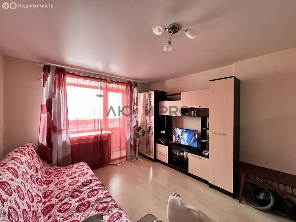 Квартира-студия: деревня Хохряки, Муромская улица, 4 (23.6 м) - Фото 1