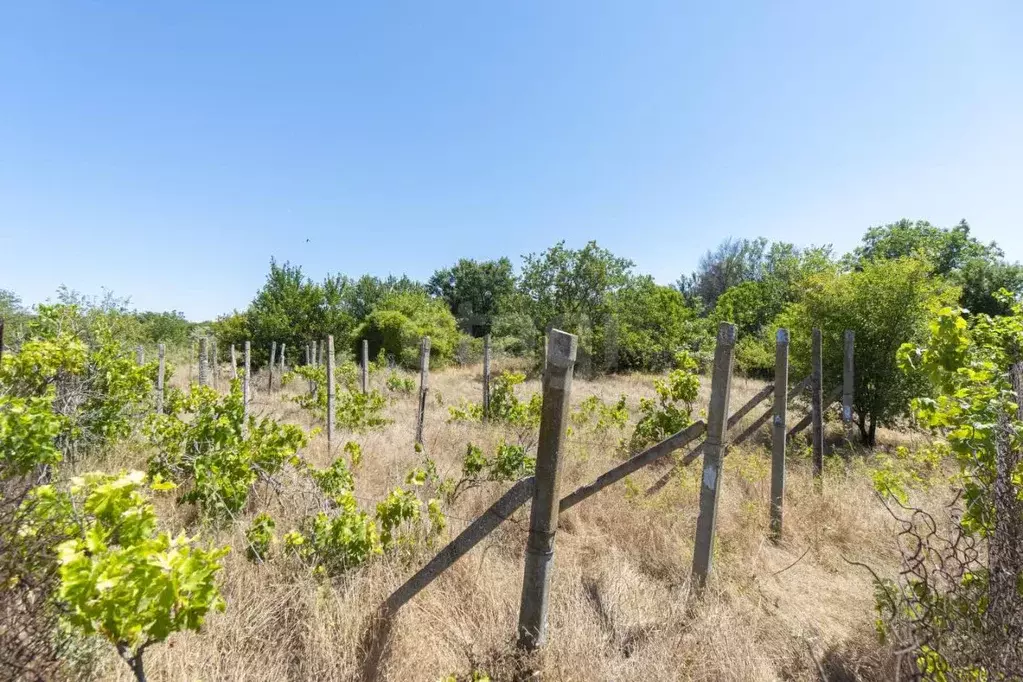 Участок в Севастополь Нахимовский р-н, Качинский муниципальный округ, ... - Фото 1