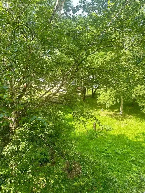 2-комнатная квартира: Арсеньев, улица Жуковского, 57 (46.8 м) - Фото 1