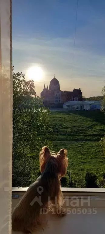 Студия Калининградская область, Калининград наб. Генерала Карбышева, 6 ... - Фото 0