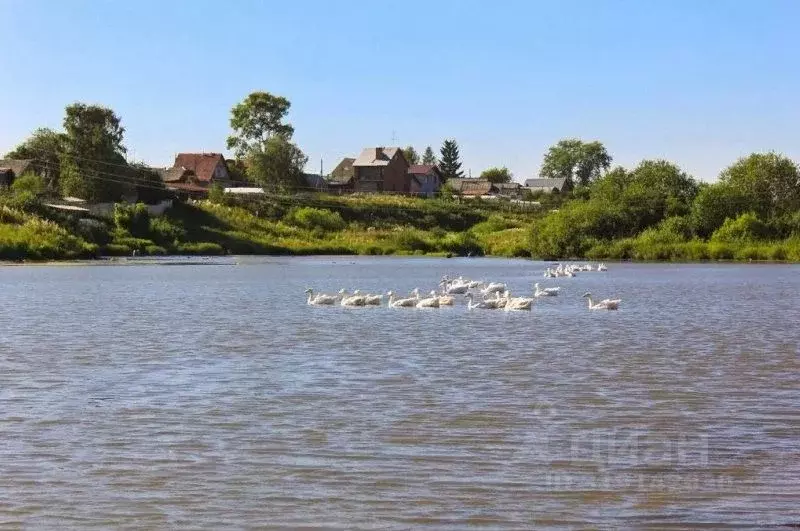 Участок в Челябинская область, Миасский городской округ, пос. Тыелга ... - Фото 1