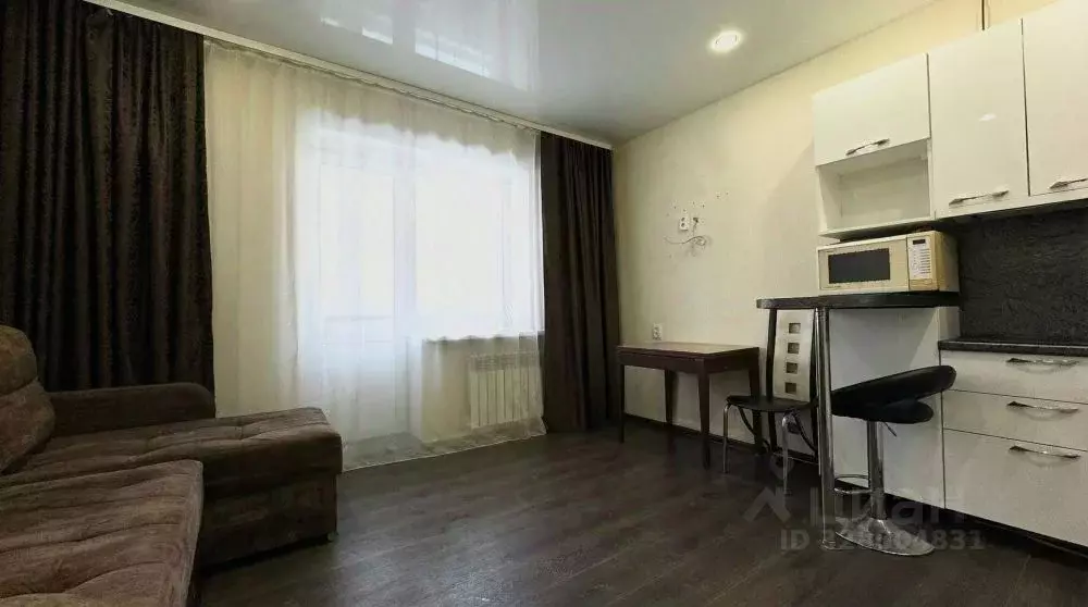 Студия Амурская область, Благовещенский район, с. Чигири Лесная ул., ... - Фото 1