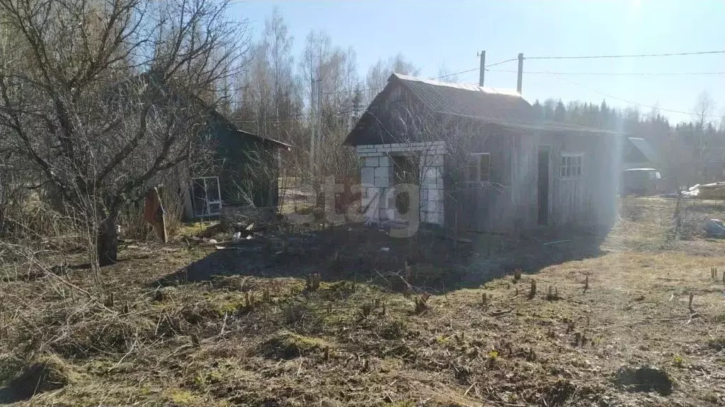 Участок в Костромская область, Кострома Огонек СНТ, ул. 5-я (5.0 сот.) - Фото 2