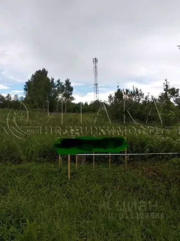 Участок в Ленинградская область, Лодейнопольский район, Алеховщинское ... - Фото 1