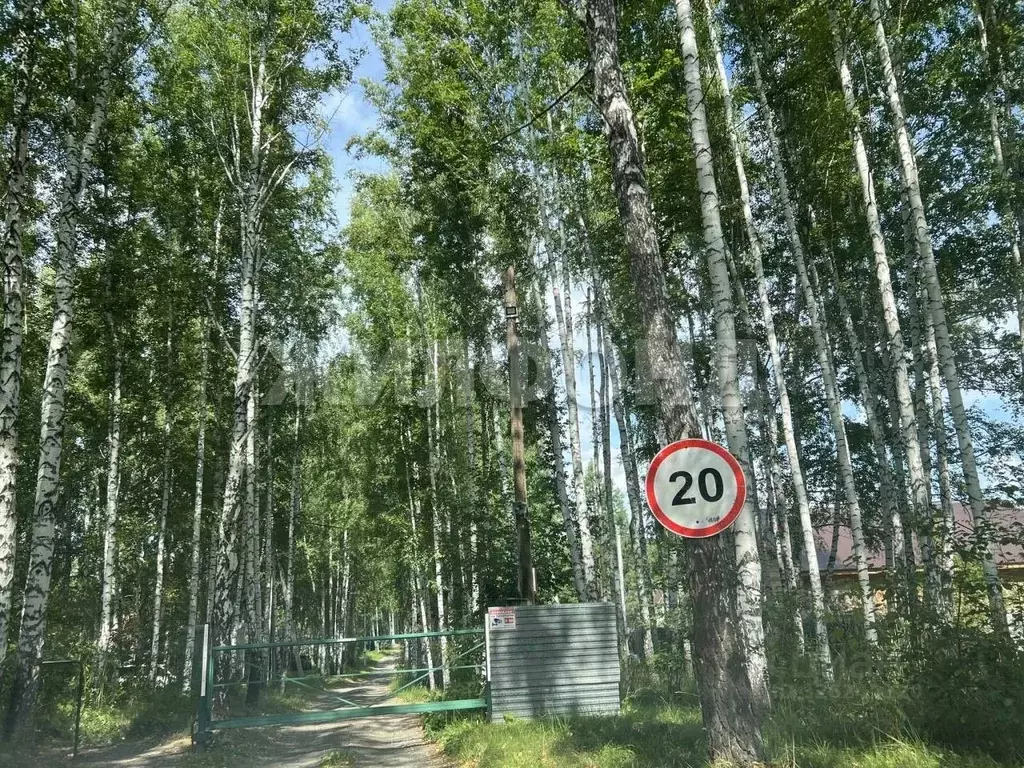 Участок в Новосибирская область, Новосибирск  (12.0 сот.) - Фото 1