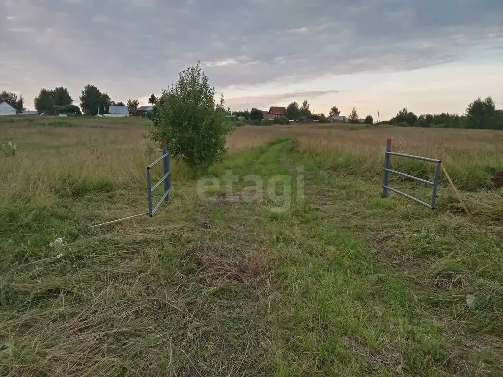 Участок в Вологодская область, Белозерский муниципальный округ, ... - Фото 1