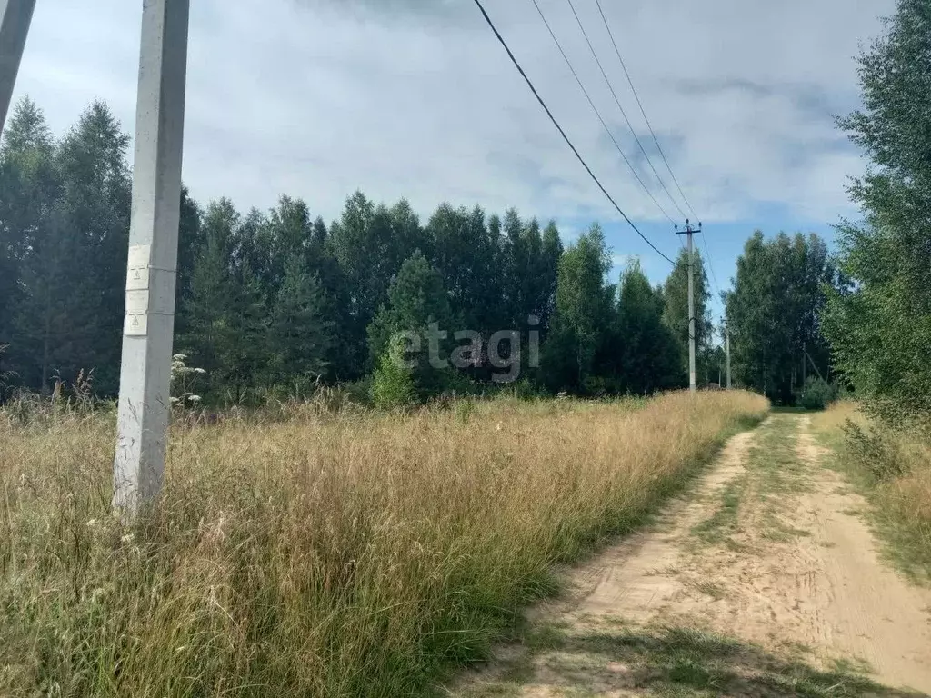 Участок в Вологодская область, Устюженский район, д. Глины Центральная ... - Фото 0