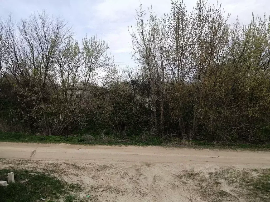 Участок в Волгоградская область, Суровикинский район, Нижнечирское ... - Фото 1